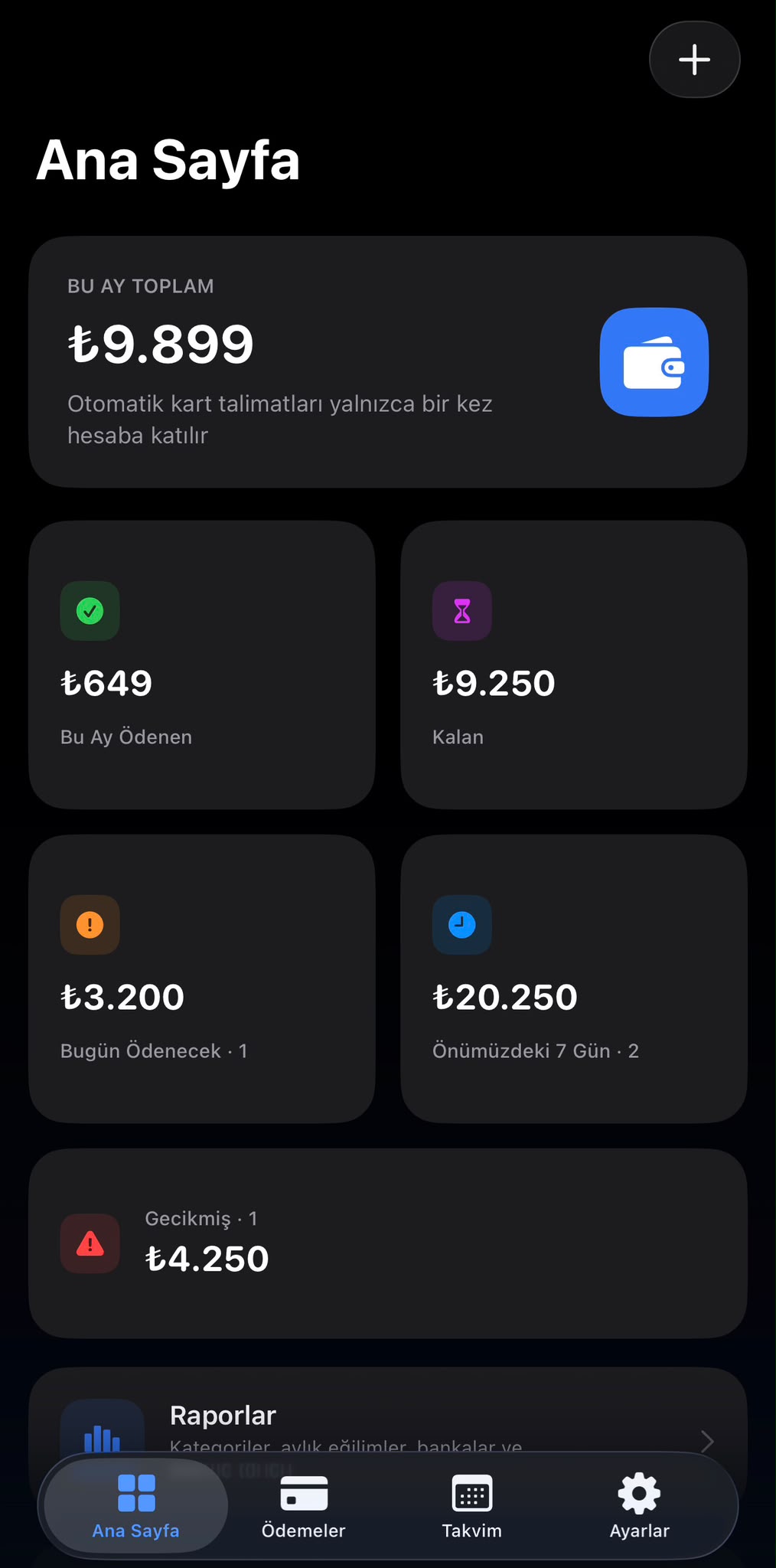 Aylık ödeme özetini gösteren PayPilot ana ekranı
