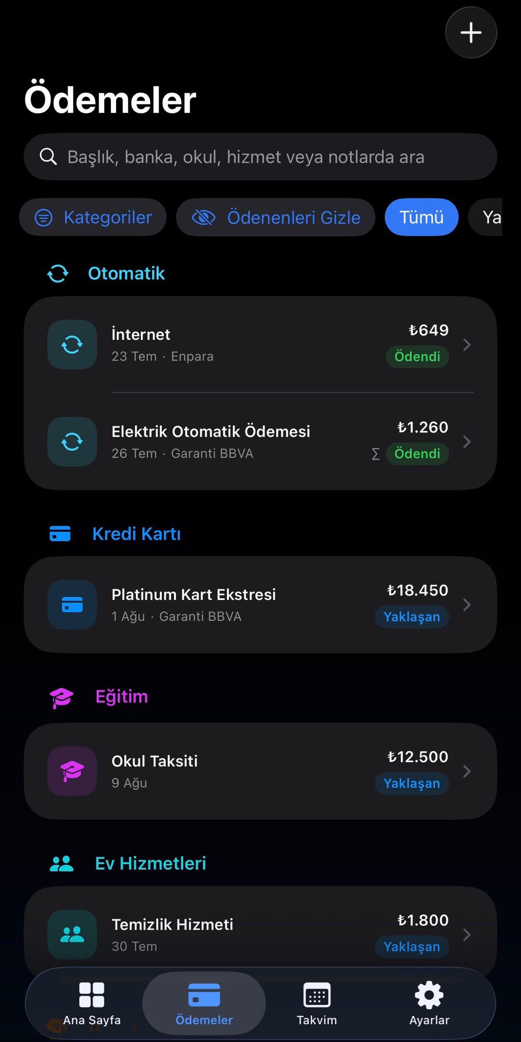 Kategoriye göre gruplanmış PayPilot ödeme listesi