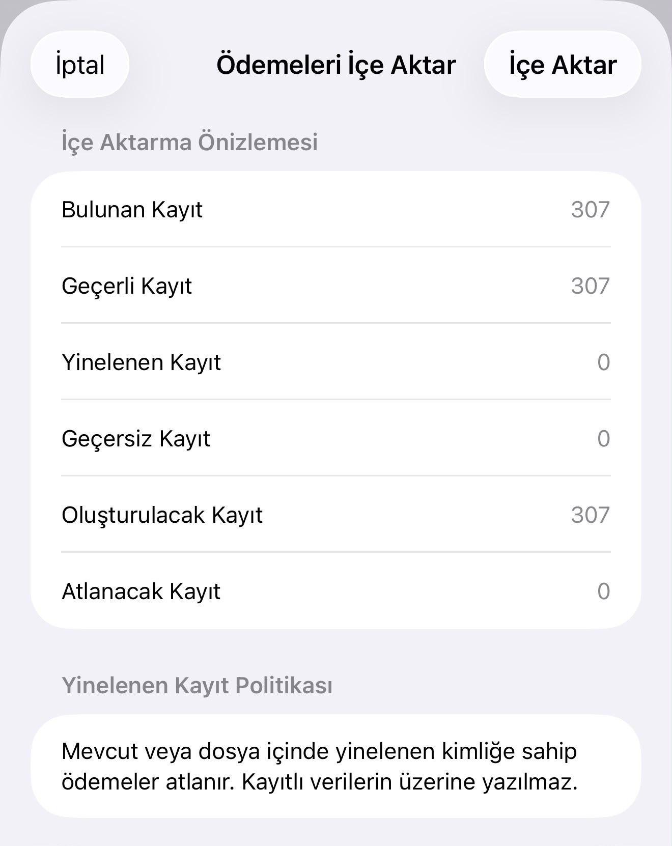 Tanınan ödeme bilgilerini gösteren PayPilot ekstre içe aktarma önizlemesi